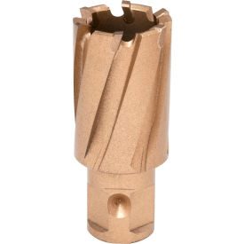 Copperhead Carbide Tip Annular Cutter, 1-1/16" Dia. x 1" Depth of Cut view 2