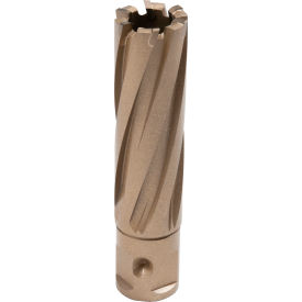 Copperhead Carbide Tip Annular Cutter, 13/16" Dia. x 2" Depth of Cut view 2
