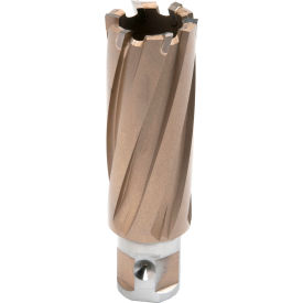 Copperhead Carbide Tip Annular Cutter, 1" Dia. x 2" Depth of Cut view 2