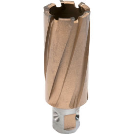 Copperhead™ Carbide Tip Annular Cutter, 1-3/16" Diameter x 2" Cut Depth view 2