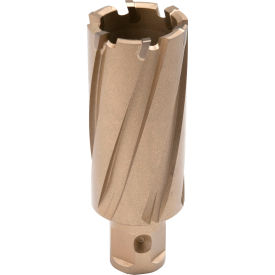 Copperhead Carbide Tip Annular Cutter, 1-1/4" Diameter x 2" Depth of Cut view 2