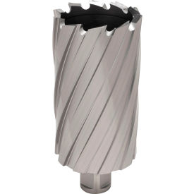 12,000-Series Annular Cutter, 1-15/16" Dia. x 3" Depth of Cut view 2