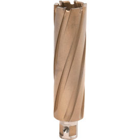 Copperhead Carbide Tip Annular Cutter, 1-1/4" Diameter x 4" Depth of Cut view 2