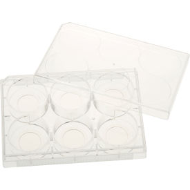 CELLTREAT SCIENTIFIC PRODUCTS LLC 229107 CELLTREAT® 6 Well Tissue Culture Plate with Lid, 20mm Glass Bottom, Individual, Sterile, 5/PK image.
