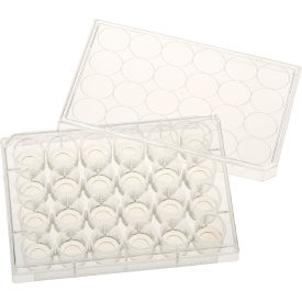 CELLTREAT SCIENTIFIC PRODUCTS LLC 229125 CELLTREAT® 24 Well Tissue Culture Plate with Lid, 10mm Glass Bottom, Individual, Sterile, 5/PK image.