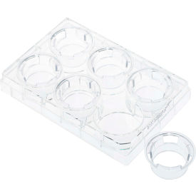 CELLTREAT Permeable Cell Culture Inserts, Packed in 6 Well Plate, Hanging, PC, 0.4m, Sterile