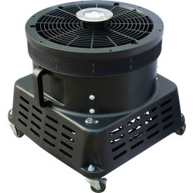 Xpower Manufacure, Inc BR-450L XPOWER Sky Dancer Blower With LED Lights, 2 Speed, 1 HP, 5800 CFM image.