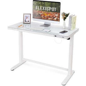 Flexispot All-in-One Height Adjustable Standing Desk, 48