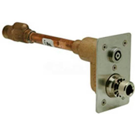 Zurn Z1321XL-3/4X16-PB Automatic Draining Wall Hydrant Exposed Ecolotrol Anti-Siphon 3/4"" x 16""
