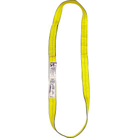 MAZZELLA LIFTING TECHNOLOGIES EN1902X02PDLA Lift America 2" X 2 1PLY Polyster EdgeGuard Flat Web Sling Endless Type V EN1-902 X 2 (S152057) image.