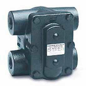 F&T Steam Trap FT015H 2 In. H Pattern