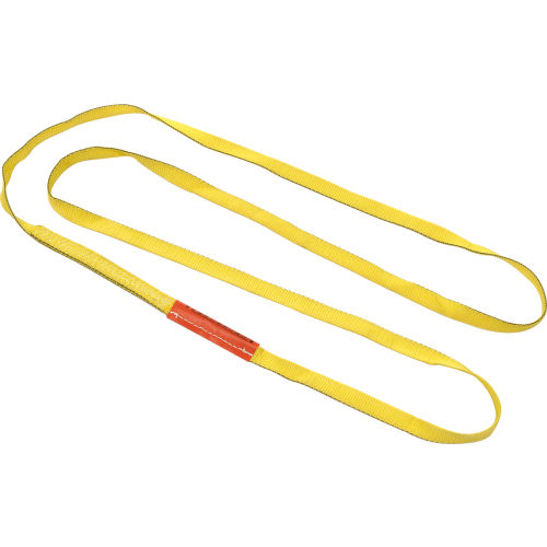 2-ply 3 x 6 3 x 6' LIF   EN2803DX6 Liftall EN2803DX6 Polyester Web Endless Sling 