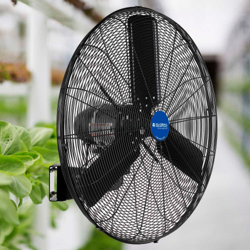 Fans Wall 24 Industrial Mounted Fan