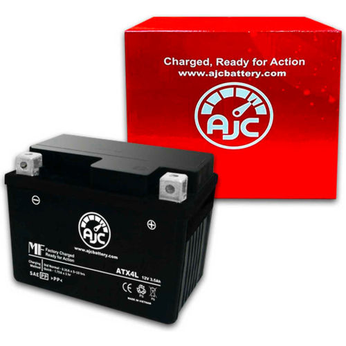 AJC Battery EverStart ES4LBS Battery, 3 