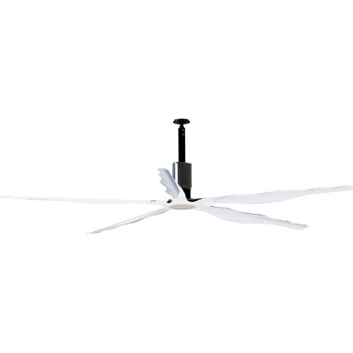 Envira North En570x7110 Hvls Jazz Ceiling Fan High Volume 10 Ft Dia 45000 Cfm 120v Alabaster B2228907 Globalindustrial Com En570x7110 Hvls Jazz Ceiling Fan, 10 Foot Ceiling Fan