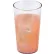 Cambro 1200P152 - Tumbler, Colorware, 12 Oz., 72 Qty.,  Clear - Pkg Qty 72