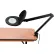 Global Industrial™ 8 Diopter LED Magnifying Lamp With Covered Metal Arm, Black