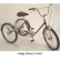 Executive Med-Duty Tricycle 275Lb Cap. 1Speed Coaster Brake w/Rear Basket E.Blue
