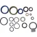 Pump Seal Kit 100044 for Rol-Lift 5500 Lb. Capacity Pallet Trucks