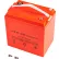 AGM Battery for Global Industrial™ Personnel Carrier 800574 & Stock Chaser 800575