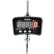 Global Industrial™ Digital Crane Scale with Remote 2000 lbs x 1 lbs