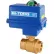 BI-TORQ 2" 2-Pc Brass NPT Ball Valve W/NEMA 4 115VAC