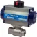 BI-TORQ 2" 2-Pc SS NPT Ball Valve W/Spring Ret. Pneum. Actuator
