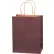 Global Industrial™ Tinted Shopping Bags, 8"W x 4-1/2"D x 10-1/4"H, Brown, 250/Pack