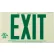 Brady® BradyGlo Exit Sign, Frameless, Glow Green, Polyester; Polystyrene, 15"W x 8-1/2"H