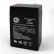 AJC® Dual-Lite 12-255 Emergency Light Replacement Battery 4.5Ah, 6V, F1
