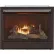 Duluth Forge Liquid Propane Ventless Gas Fireplace Insert with Remote Control, 26000 BTU, Black