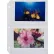 C-Line Products 35mm Ring Binder Photo Storage Pages, 4 x 6, Clear, Side Load, 11 1/4 x 8 1/8, 50/BX