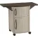 Suncast DCP2000 - Patio Cabinet Serving Station