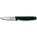 Dexter Russell 31366 - Paring Knife, High Carbon Steel, Stamped, 2-3/4"L