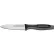 Dexter Russell 29473 - Paring Knife, High Carbon Steel, Stamped, Black/Gray Handle, 3-1/2"L