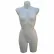 Female 3/4 Torso, No Arms - Milky White