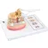 3B® Anatomical Model - Spinal Cord with Nerve Branches