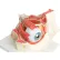3B® Anatomical Model - Deluxe Eye, 7-Part (3X Size)
