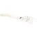 3B® Anatomical Model - Loose Bones, Hand Skeleton with Ulna and Radius, Left