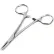 ADC® Kelly Hemostatic Forceps, Straight, 6-1/4"L, Stainless Steel