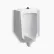 Kohler® Bardon™ AccuFlush® Urinal, 0.125 GPF, Top Spud