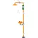 Guardian Equipment Safety Station w/ Eye & Face Wash, Shower Head & Bowl