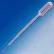 Transfer Pipet, 5mL, Fine Tip, 153mm, 2000/Pack