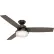 Hunter Fan 52" Sentinel Ceiling Fan with Light and Handheld Remote 59210 - Premier Bronze