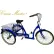 Husky Bicycles 24'' Cruise Master Adult Tricycle, T324, Blue