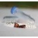 Benchmark Scientific Prefilled 2ml Tubes For 1.4 mm Zirconium & 4mm & 0.1mm Silica Beads, Pack of 50