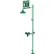 Hughes® Laboratory Combination Shower, Floor Mount, Open ABS Bowl, Stainless Steel Pipe