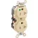 Leviton 8300-Sgi Duplex Receptacle, Straight Blade, Self Grounding, Ivory - Pkg Qty 10