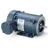 Leeson Motors Single Phase Explosion Proof Motor 3/4HP, 1725RPM, 56, EPFC, 60HZ, Automatic, 1.0SF