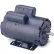 Leeson Motors Single Phase General Purpose Motor 2HP, 1740RPM, 56H, DP, Manual, Rigid